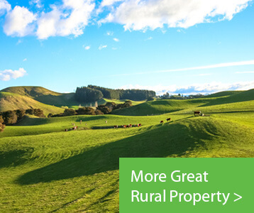 More Great Rural Property